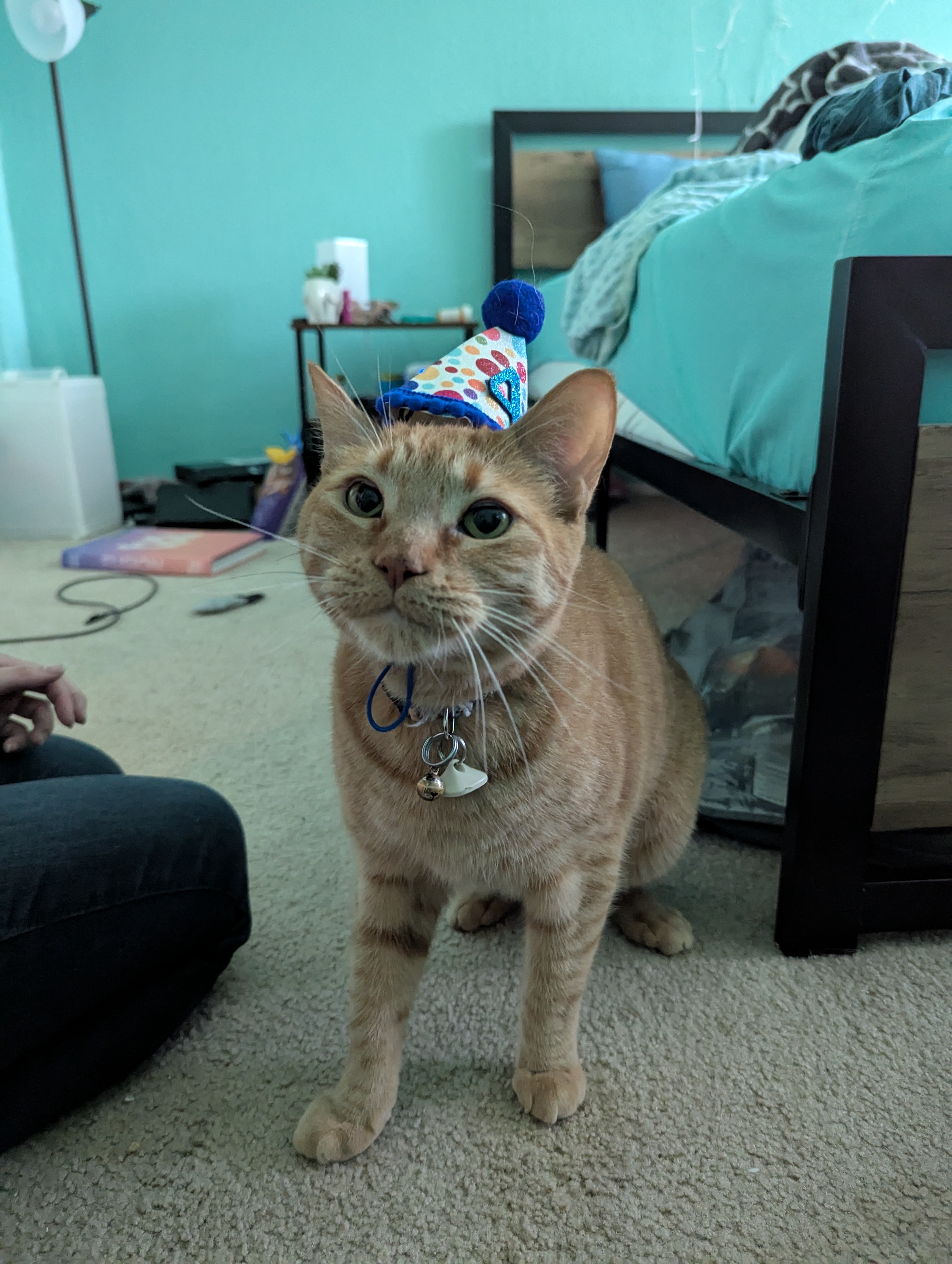 Party Pekoe