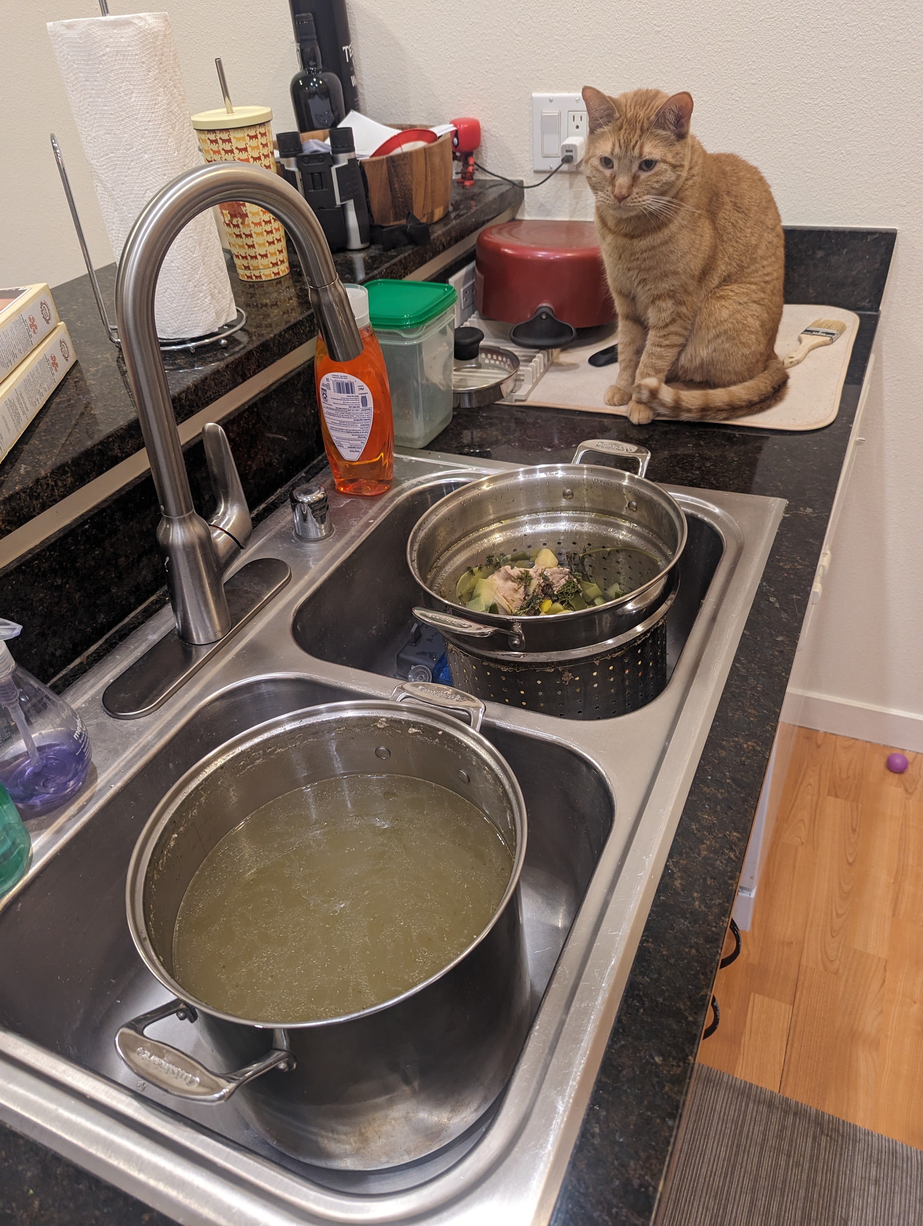 Pekoe Soup