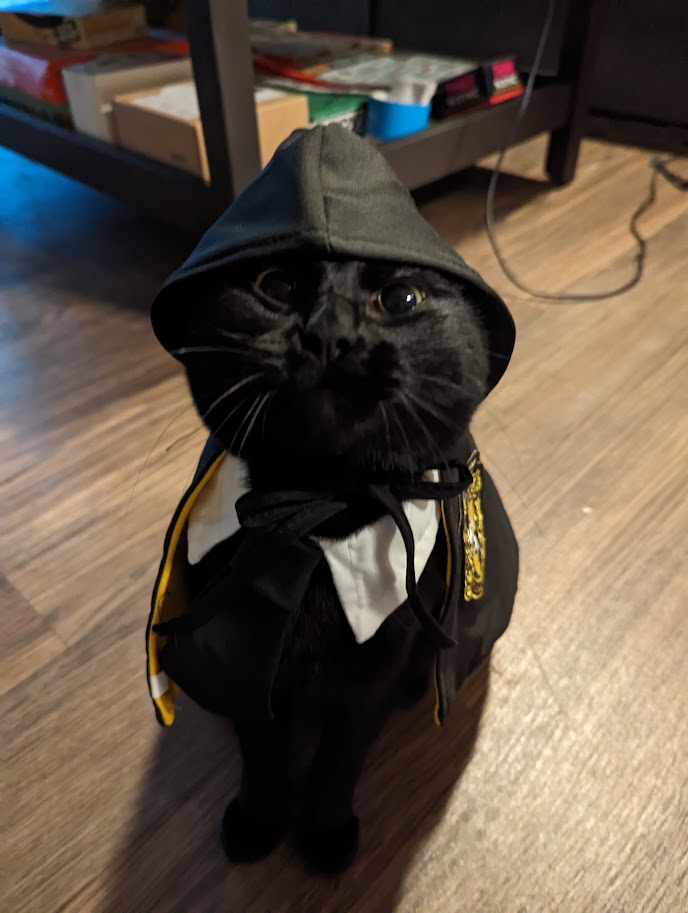 Magic cat