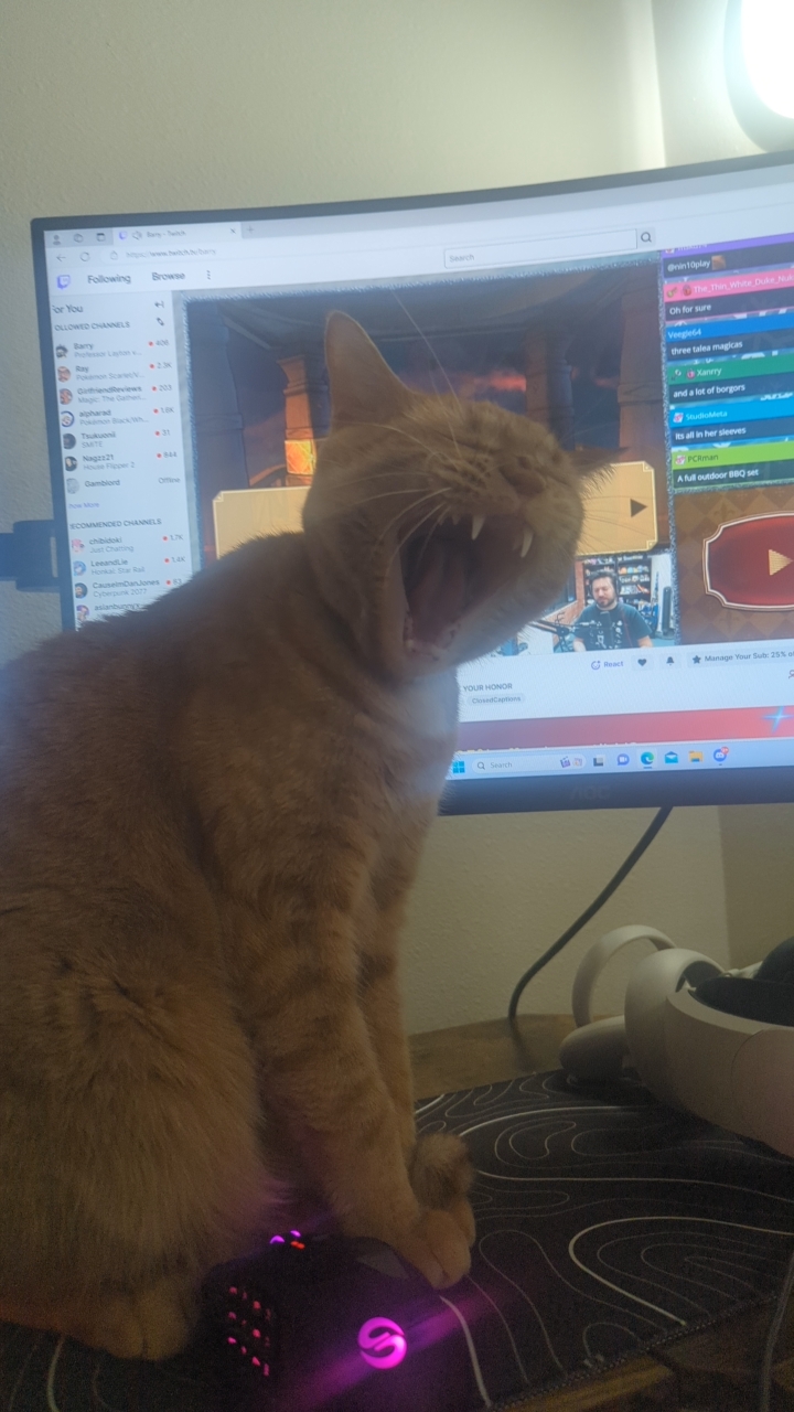 Pekoe Excited