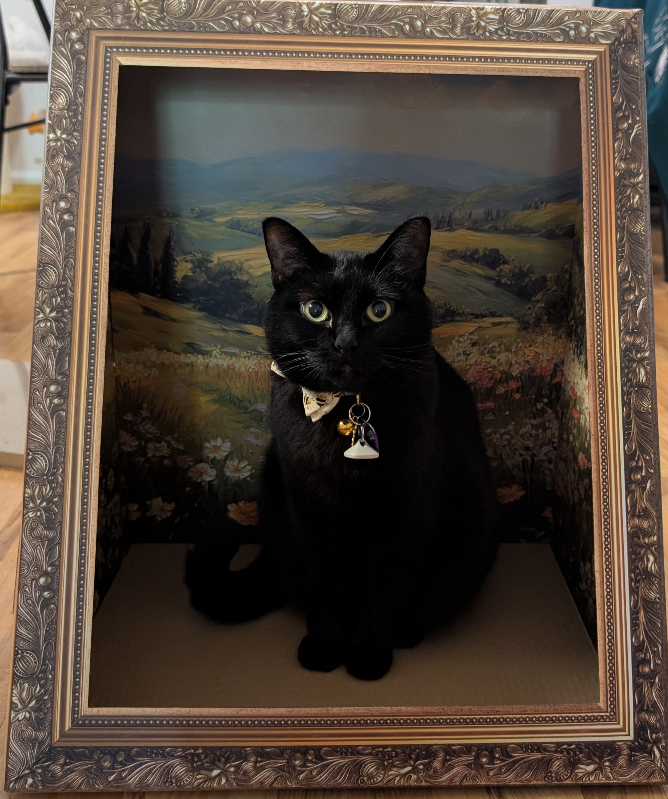 Photo Cat